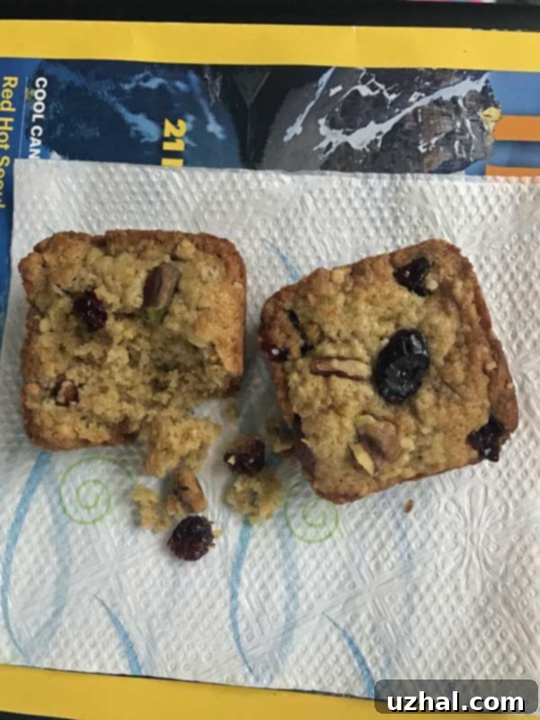 extra virgin oatmeal cookies in a square shape