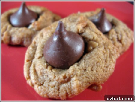 Flourless Peanut Butter Cookies aka No-Flour Peanut Butter Cookies