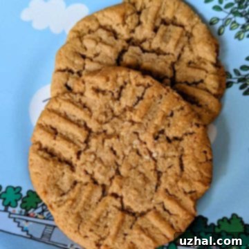 Flourless Peanut Butter Cookies