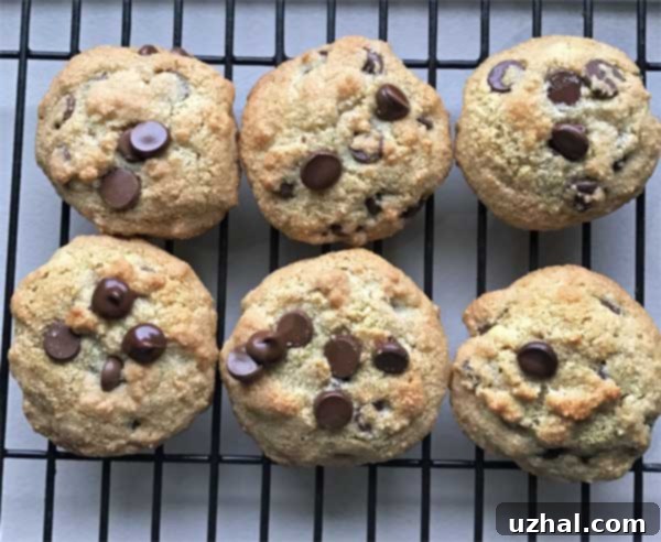 Classic almond flour chocolate chip cookies, golden brown and perfectly baked