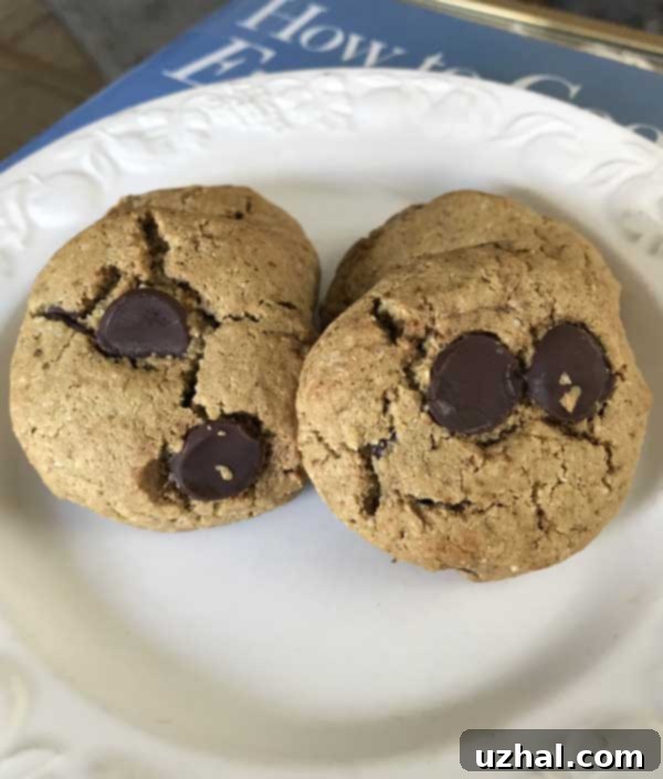 Almond flour chocolate chip cookies with added protein powder, showing a slightly different texture
