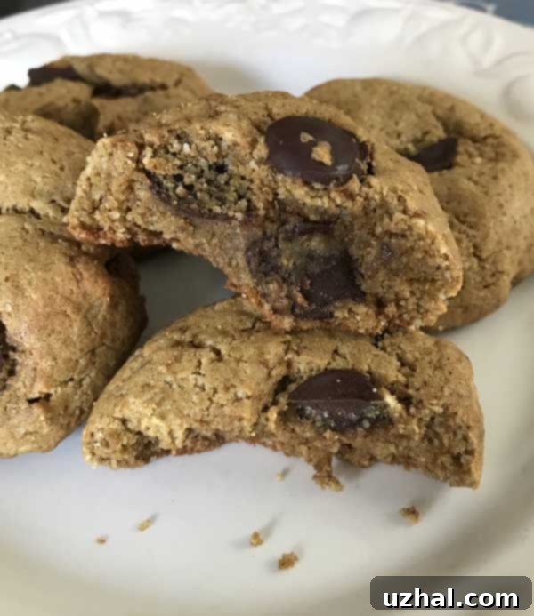 Close-up of the protein powder almond flour chocolate chip cookie variation