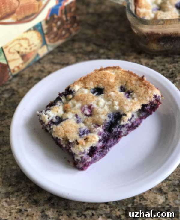 Blueberry Boy Bait - Pillsbury Bake-Off classic dessert