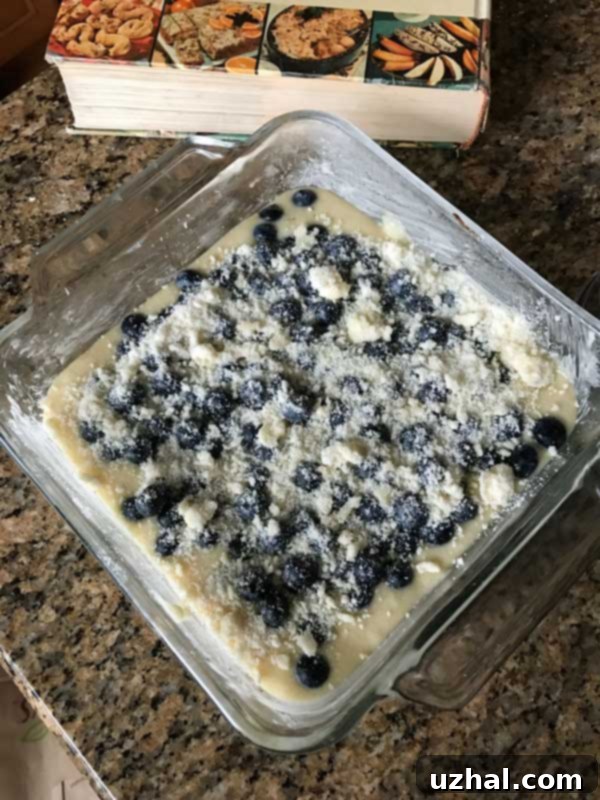 Fresh blueberries ready for baking in Blueberry Boy Bait