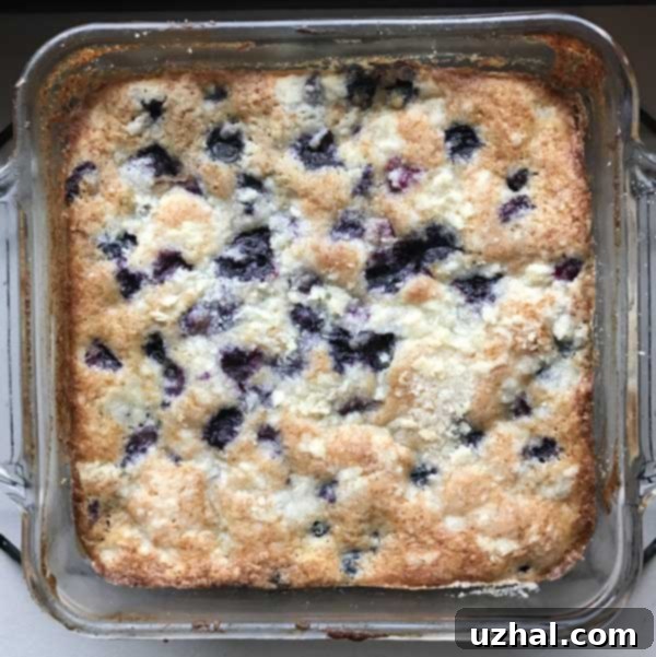 Blueberry Boy Bait in a square baking dish