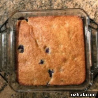 A close-up of a slice of Blueberry Boy Bait, showing the juicy blueberries and crumb topping.