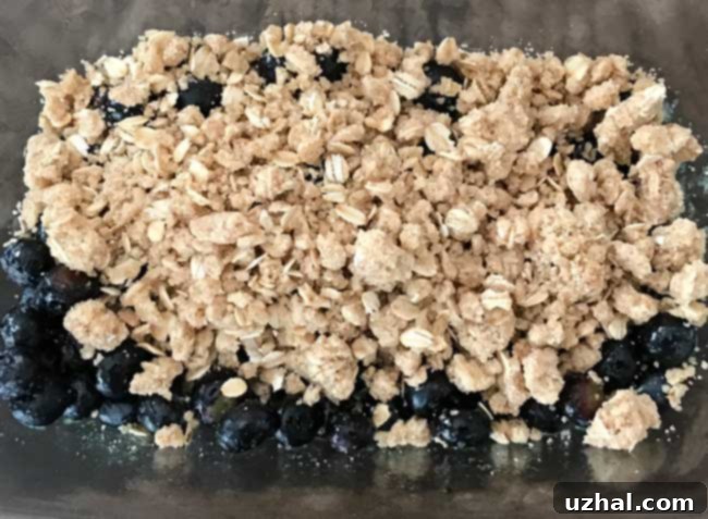 Warm Loaf Pan Blueberry Crisp with a golden topping