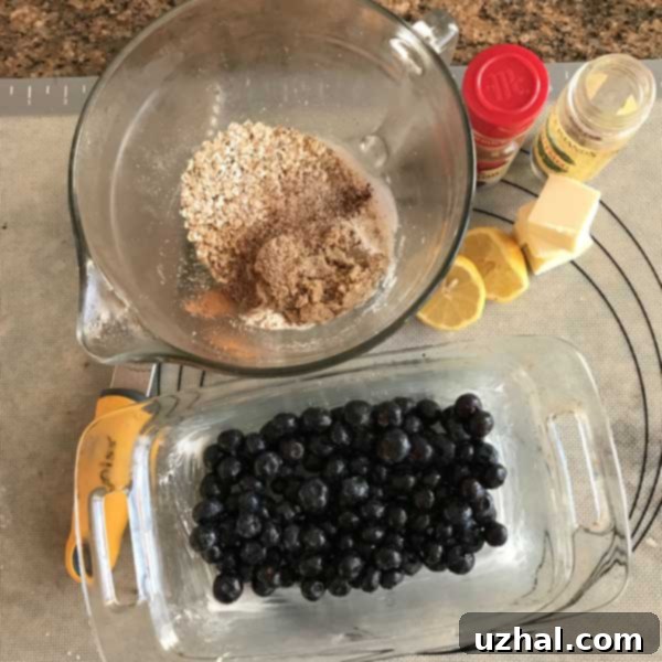 Close-up of baked Loaf Pan Blueberry Crisp