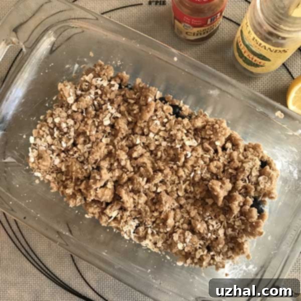 Loaf Pan Blueberry Crisp served warm