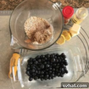 loaf pan blueberry crisp