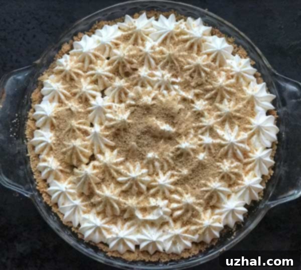 Mexican Chocolate Cream Pie