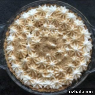 Mexican Chocolate Cream Pie