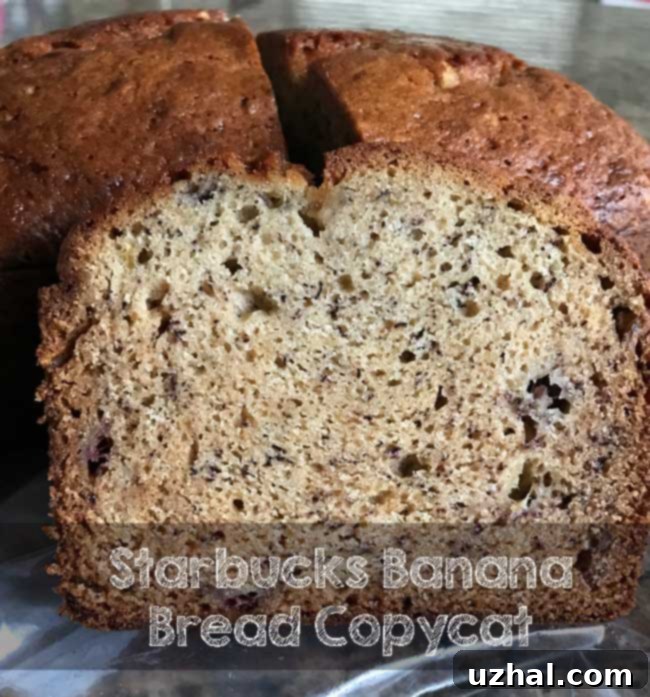 Perfect slice of Starbucks Banana Bread Copycat