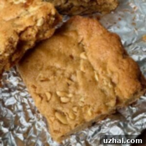 Redbook Peanut Butter Blondies Recipe with sugar amount, highlighting the perfect golden brown crust.