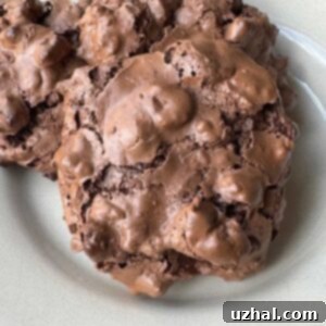 A small stack of freshly baked Pecan Chewy cookies, showcasing their deep chocolate color and texture, made with egg whites, powdered sugar, cocoa powder and pecans.