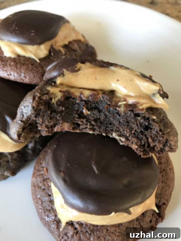 buckeye cookies