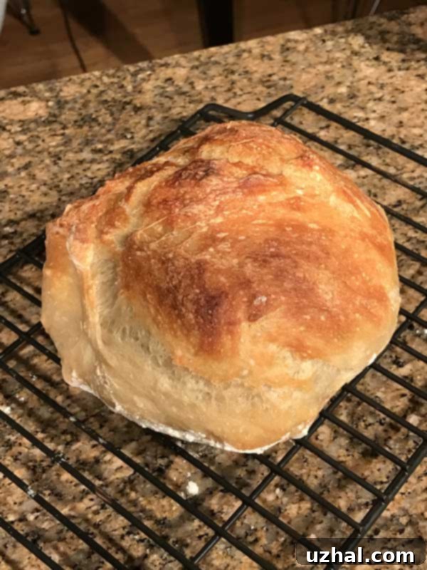 Freshly baked speedy no-knead bread with a golden-brown, crackly crust, sliced and ready to serve.