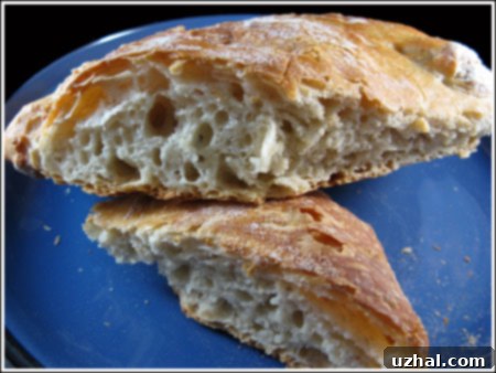 Close-up of a rustic no-knead bread loaf with a beautiful golden crust and an airy, open crumb structure.