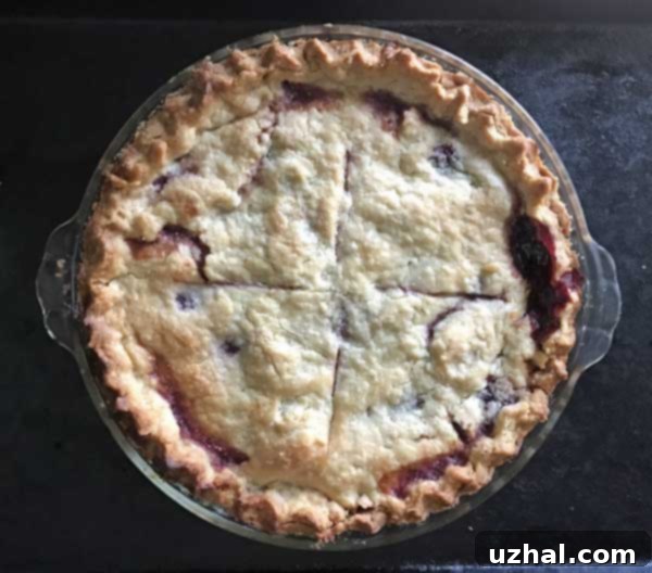 minute tapioca cherry pie