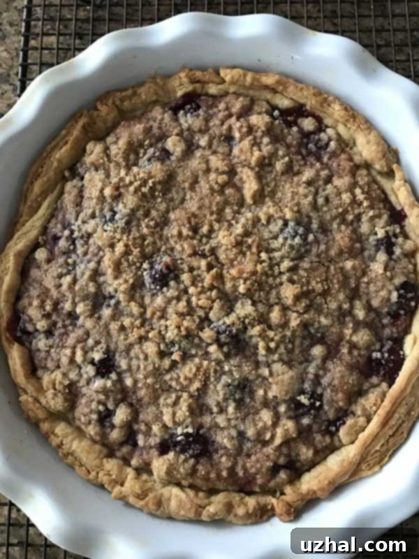 minute tapioca cherry pie