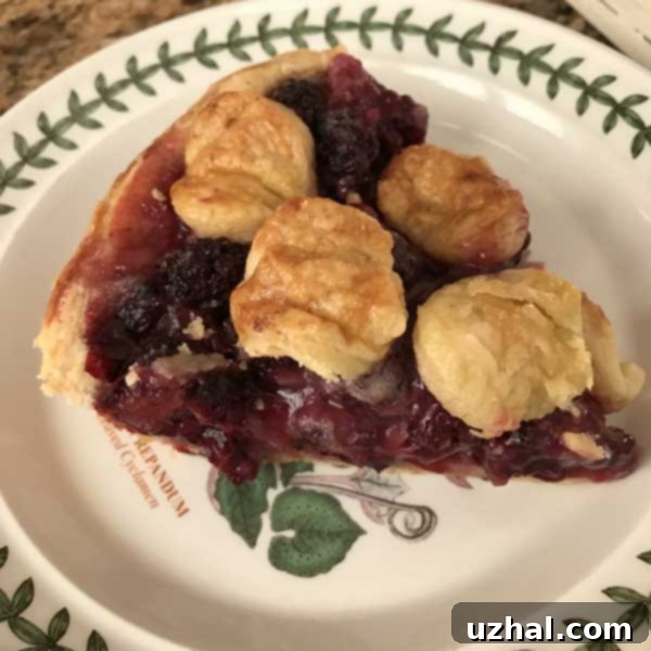 Blackberry Pie