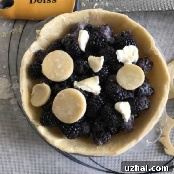 Blackberry Pie