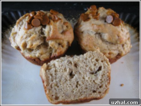 Close-up of a baked banana muffin with protein powder, showing a scraggly top