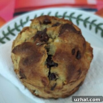 Protein Powder Banana Muffins - a batch of 6 freshly baked muffins