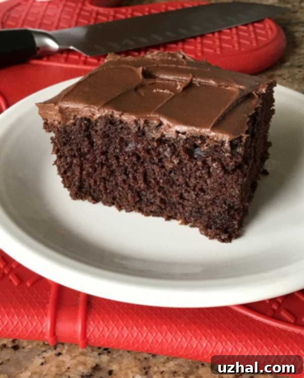sourdough chocolate cake