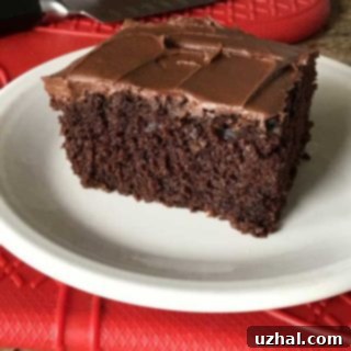 sourdough chocolate cake
