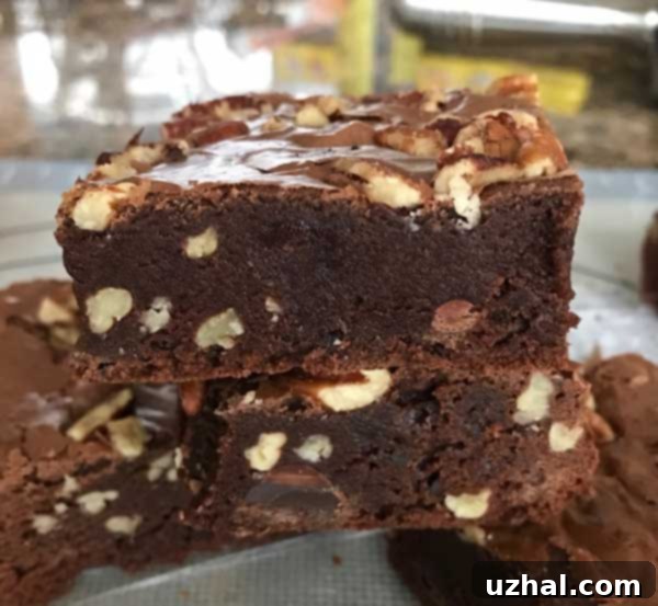 Close-up photo of the shiny, fudgy texture of Passover brownies, showcasing their rich appearance.