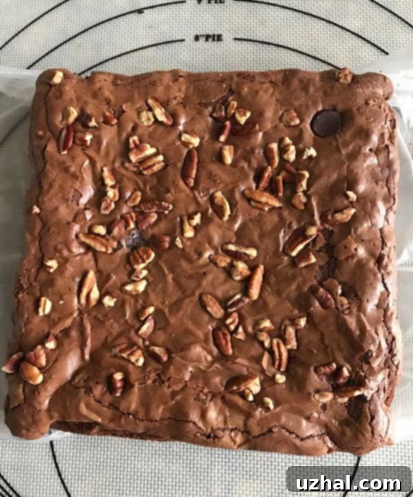 Passover brownies with a shiny top and lots of pecans, showcasing their delicious appeal.
