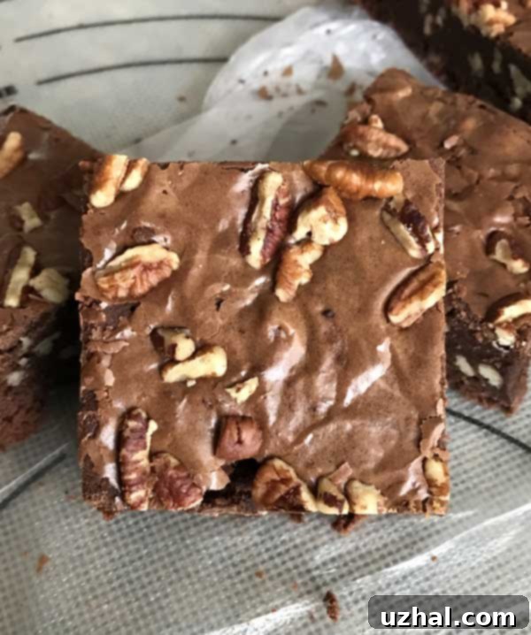 A single, perfectly cut Passover brownie, highlighting its dense, fudgy interior and shiny crust.