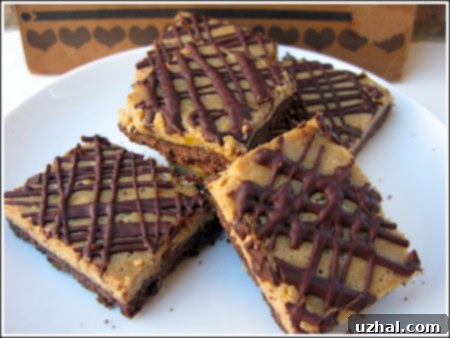 Close-up shot of delicious Mocha Cheesecake Squares with a swirl of chocolate drizzle on top
