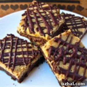 Close-up of a single Mocha Cheesecake Square with chocolate drizzle