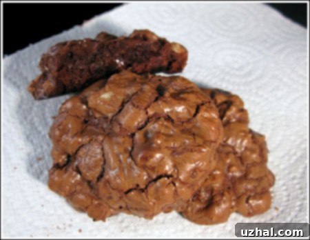 shiny chocolate cookies