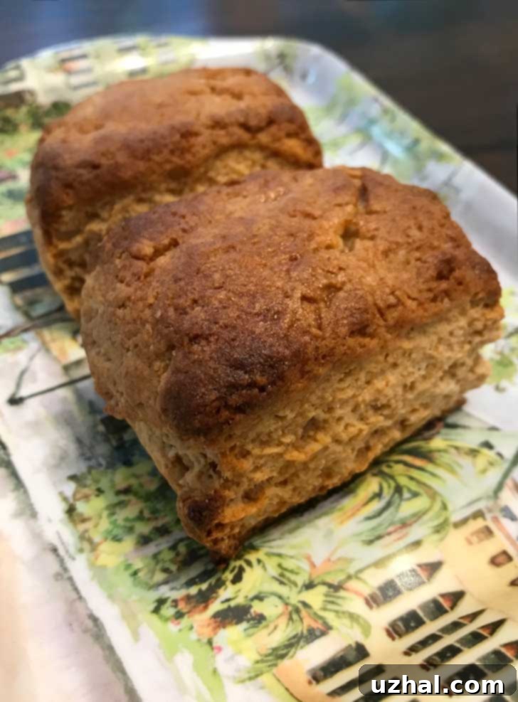 Close-up of baked Honey Whole Wheat Biscuits