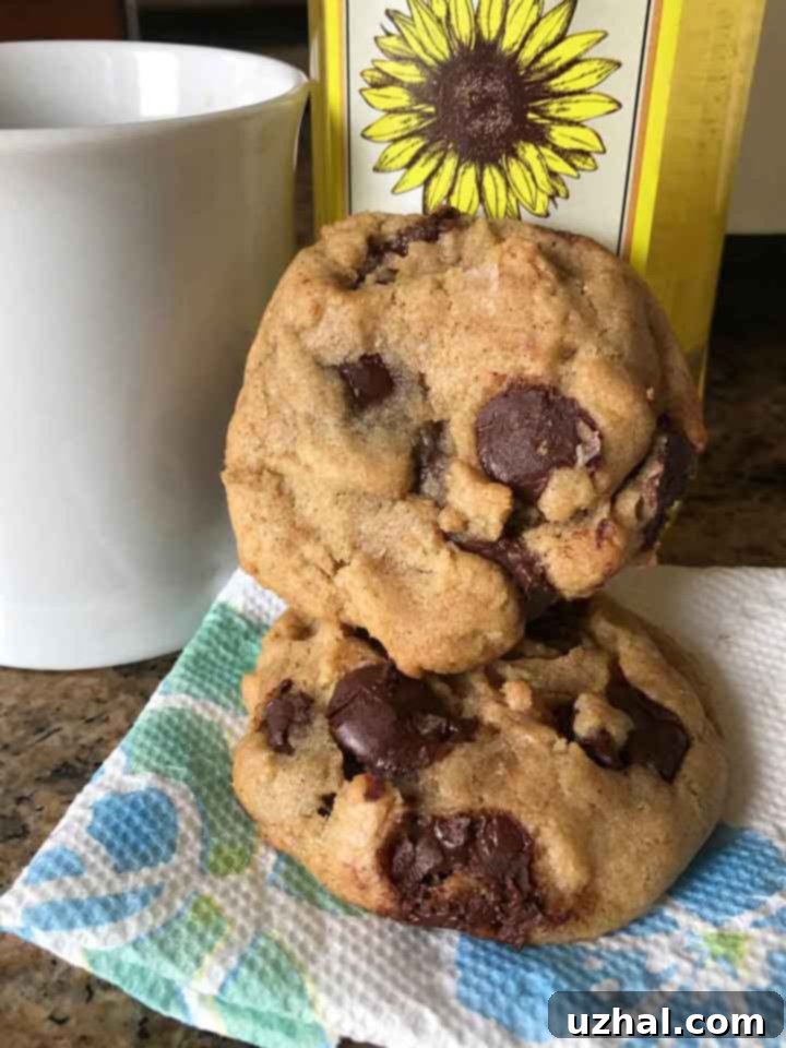 Sunflower Oil Chocolate Chip Cookies aka Secretly Vegan Chocolate Chip Cookies