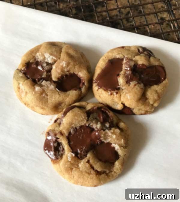 Vegan Sunflower Oil Chocolate Chip Cookies