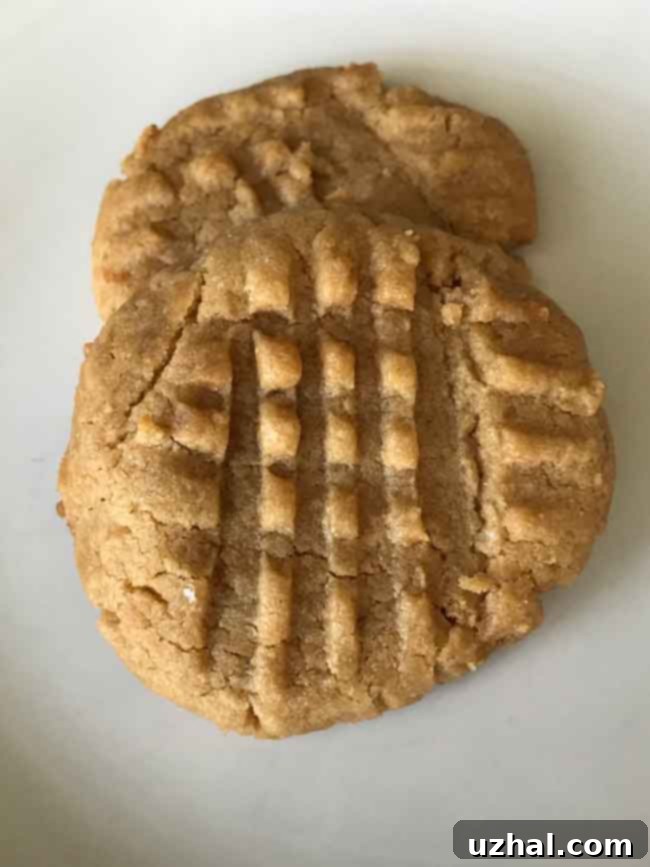 Natural Jif Peanut Butter Cookies