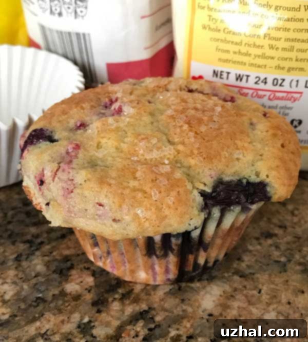 A close-up of a perfectly risen and golden Blackberry Yogurt Muffin, ready to be picked up and enjoyed.