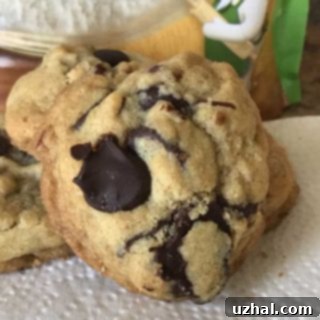 Pillsbury Gluten-Free Flour Chocolate Chip Cookies