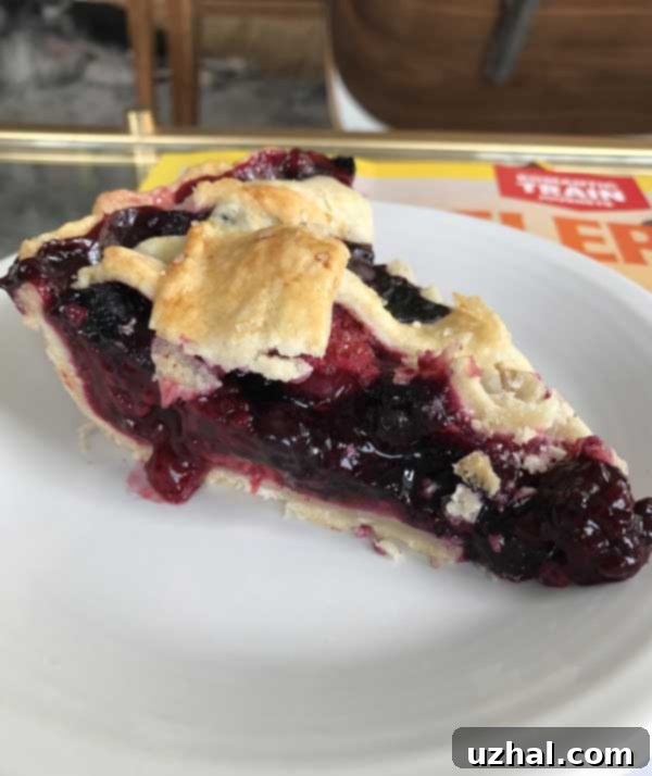 Close-up of baked Four Berry Pie showing the vibrant fruit filling