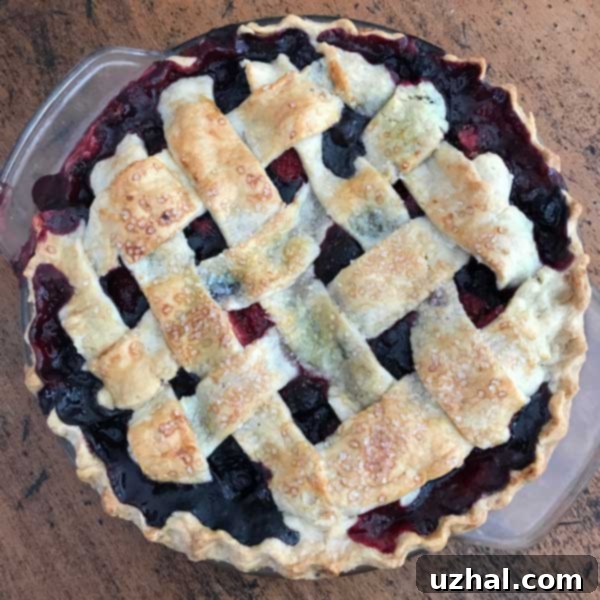 Unbaked Four Berry Pie filling with lattice crust ready for oven