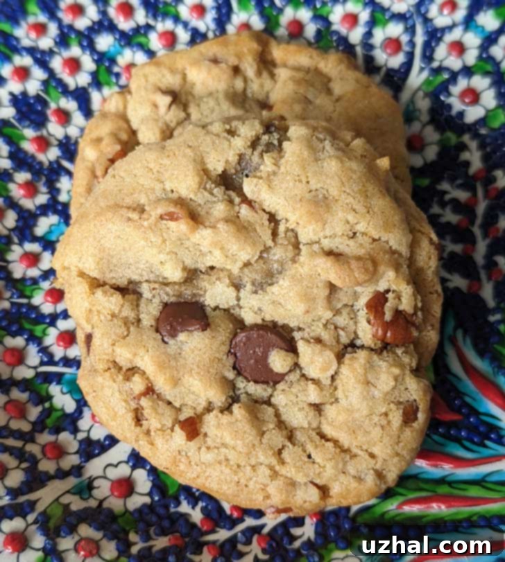 Plate of Gluten-Free Vegan Chocolate Chip Cookies