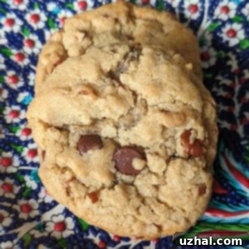 aquafaba chocolate chunk cookies baked