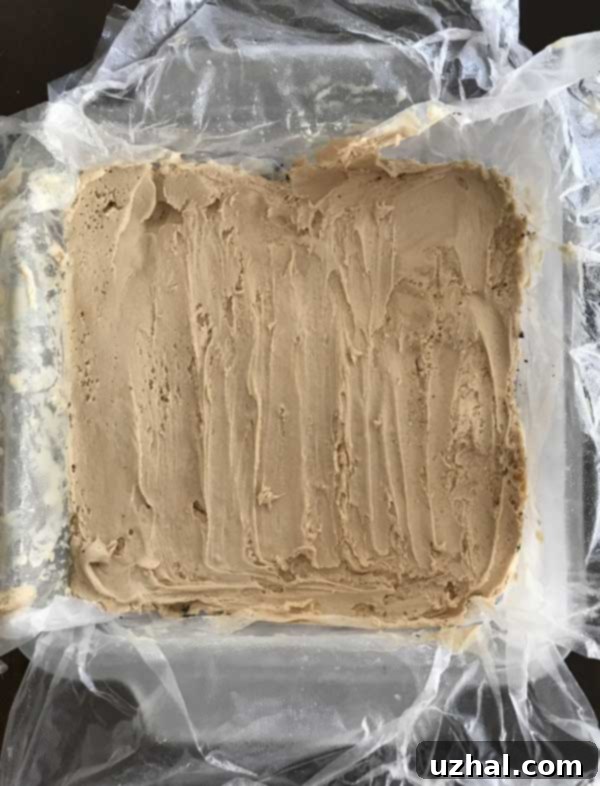 Close-up of frozen chocolate mud pie dessert squares, ready for serving or storing