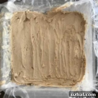 A slice of Frozen Chocolate Mud Pie Dessert with a rich, layered texture