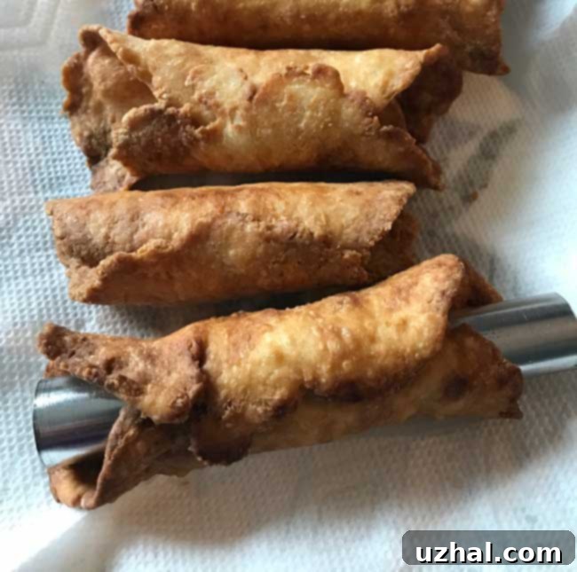Fried Cannoli Shell made by a complete novice, showing its golden-brown, bubbly texture.