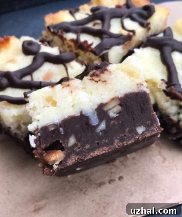Macaroon Brownies – A harmonious blend of chocolate and coconut